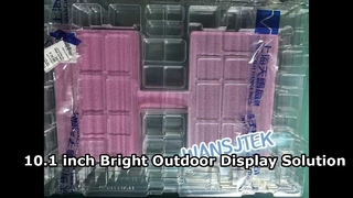 10.1 ইঞ্চি উচ্চ উজ্জ্বলতা LCD প্যানেল